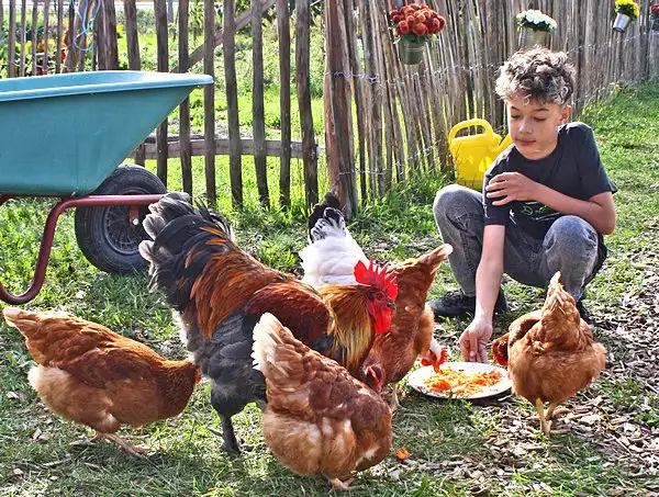 Nachhaltigkeit in der Stiftung SLW Altötting